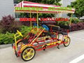 Hot!two persons sightseeing Electric bike