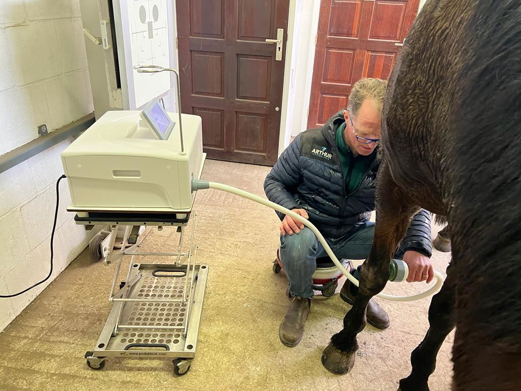 Vet Electromagnetic Shock Wave Horse Focused Shockwave Therapy Machine