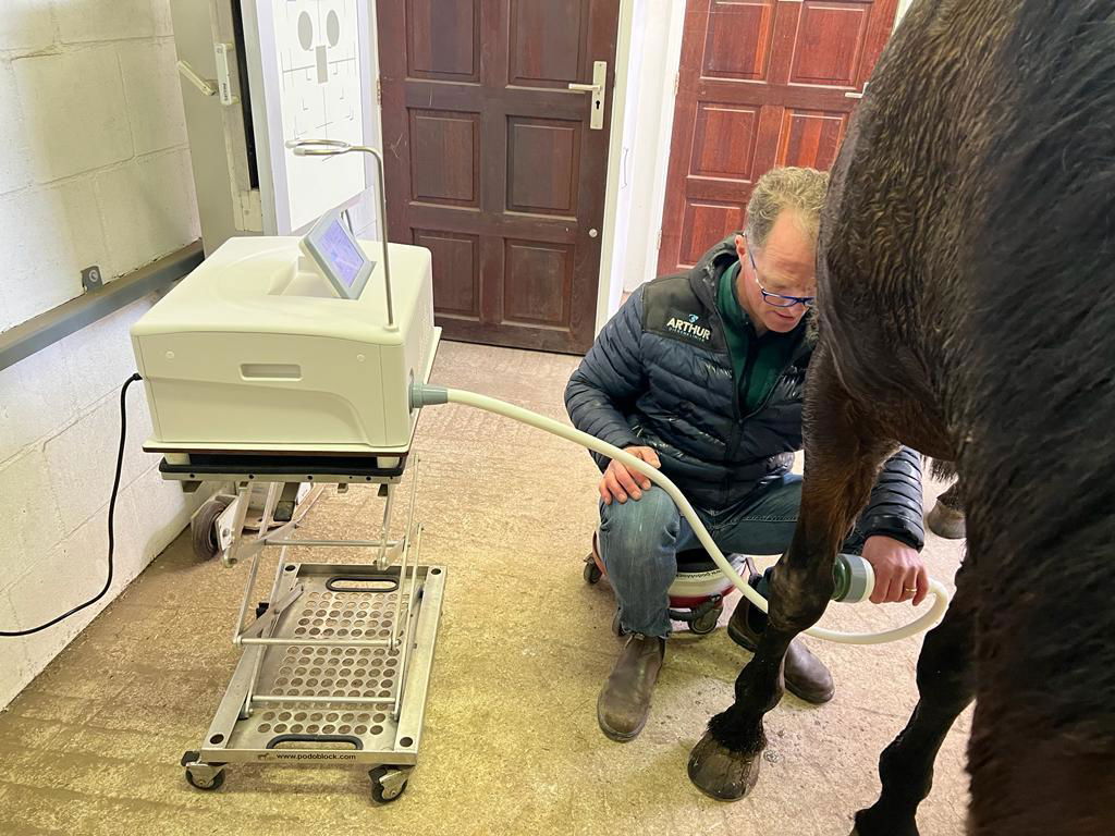 Vet Shock Wave Horse Focused Shockwave Therapy Machine