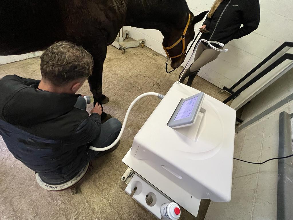 Vet Electromagnetic Shock Wave Horse Focused Shockwave Therapy Machine 3