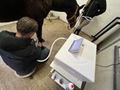 Vet Electromagnetic Shock Wave Horse Focused Shockwave Therapy Machine