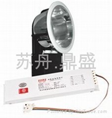DS-ZLZD-Y13W-T型应急照明灯具
