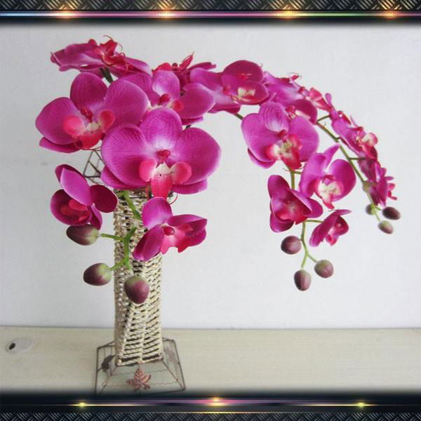 Real touch 9pcs heads orchid flower decoration artificial orchid flower