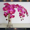 Real touch 9pcs heads orchid flower