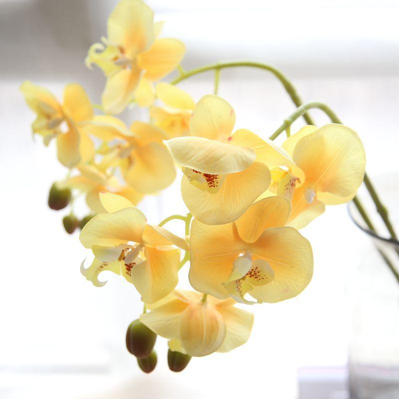 Real touch 9pcs heads orchid flower decoration artificial orchid flower 2