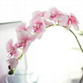 Real touch 4pcs heads orchid flower