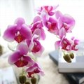 Real touch 4pcs heads orchid flower decoration artificial orchid flower 5