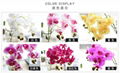 High quality 4 and 9 heads orchid flower decoration artificial orchid flower 4