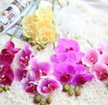 High quality 4 and 9 heads orchid flower decoration artificial orchid flower 5