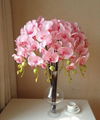 Colorful orchid flower decoration