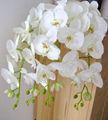 Colorful orchid flower decoration artificial orchid flower 2