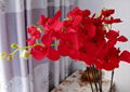 Colorful orchid flower decoration artificial orchid flower 4