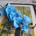 Colorful orchid flower decoration artificial orchid flower 5