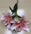 Lily  flower decoration house and wedding with high quality real touch 2