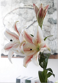 Lily  flower decoration house and wedding with high quality real touch 3
