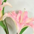 Lily  flower decoration house and wedding with high quality real touch 5