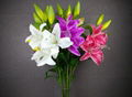 Lily  flower decoration house and wedding with low price real touch 2