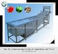 Fruit and Vegetable Washing Machine Without Damage 1