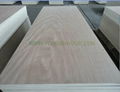 OKOUME PLYWOOD