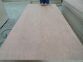 SAPELI PLYWOOD