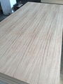 Parota Plywood