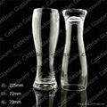 beer glass 2