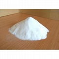 Sodium Bicarbonate 2