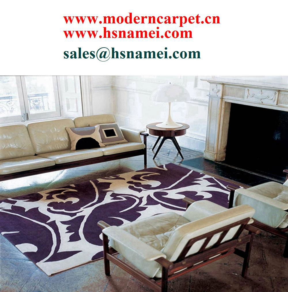 Hand tufted modern design area rugs 4
