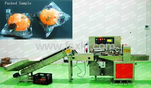 Kl-350X Down Paper Fresh Fruit Full Auto Pillow Packing Machine