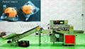 Kl-350X Down Paper Fresh Fruit Full Auto Pillow Packing Machine