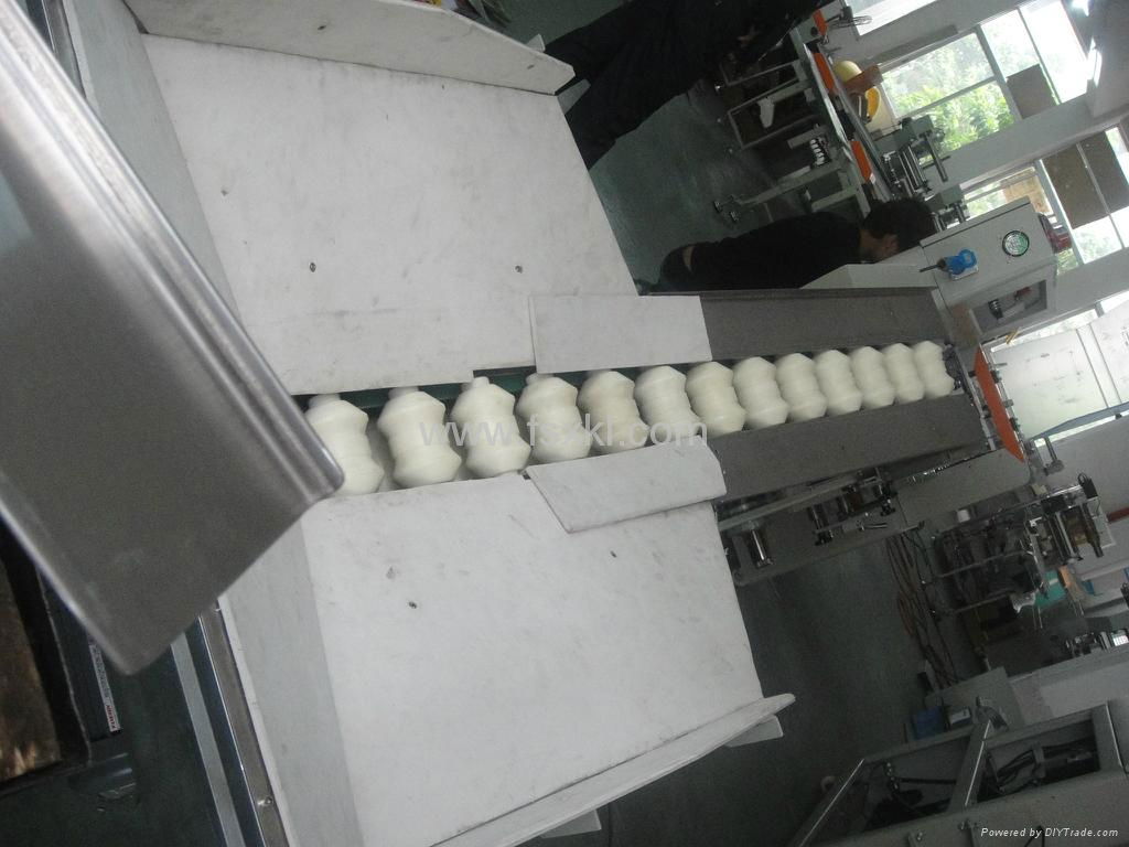 Kl-350X Down Paper Fresh Fruit Full Auto Pillow Packing Machine 3