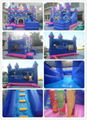 Princess Inflatable Castle Combo