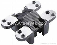 Zinc alloy Concealed Hinge