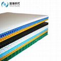 PP Corrugated Plastic Sheets,Coroplast