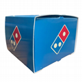 High quality plastic corrugated correx pizza delivery box for scooter bike