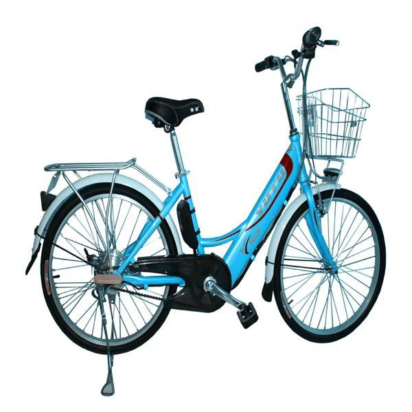 cheap lithium battery electric bike for Vietnam 4