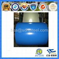 Prime Quality Color Coated Steel Coil  3