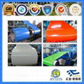 Prime Quality Color Coated Steel Coil  5