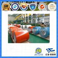 Galvanized Colored Steel Coil and Sheet 1