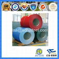 Galvanized Colored Steel Coil and Sheet 3