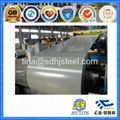 Galvanized Colored Steel Coil and Sheet 4
