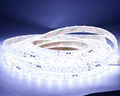 Led strips 5