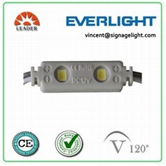 Everlight led module