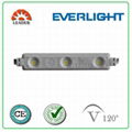 Everlight led module