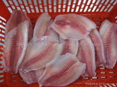 tilapia fillet