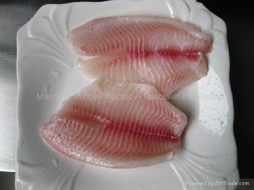 tilapia fillet 5