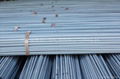 HRB335 Deformed Steel Bars for Construction 2