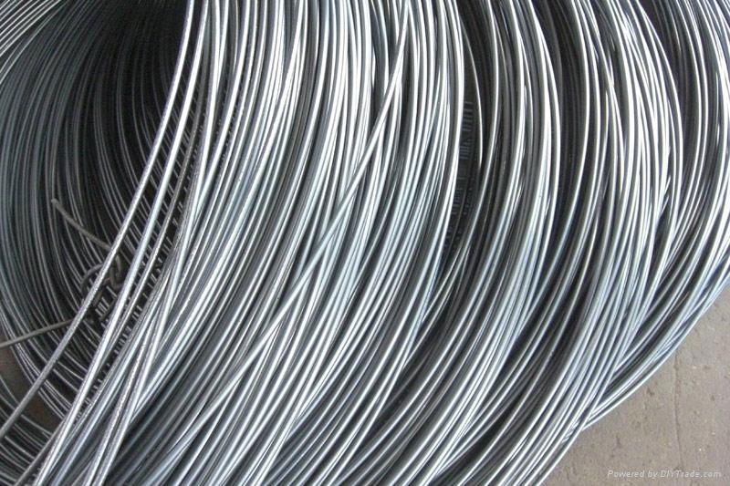 Q195-Q235 SAE1010 High Quality Steel Wire Rods 4