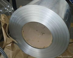 Hot Dipped Galvanized Steel Sheets 