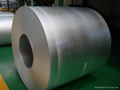 Hot Dipped Galvanized Steel Sheets  2